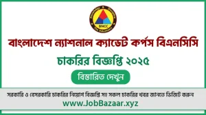 BNCC চাকরির বিজ্ঞপ্তি ২০২৫ – bncc.teletalk.com.bd আবেদন করুন